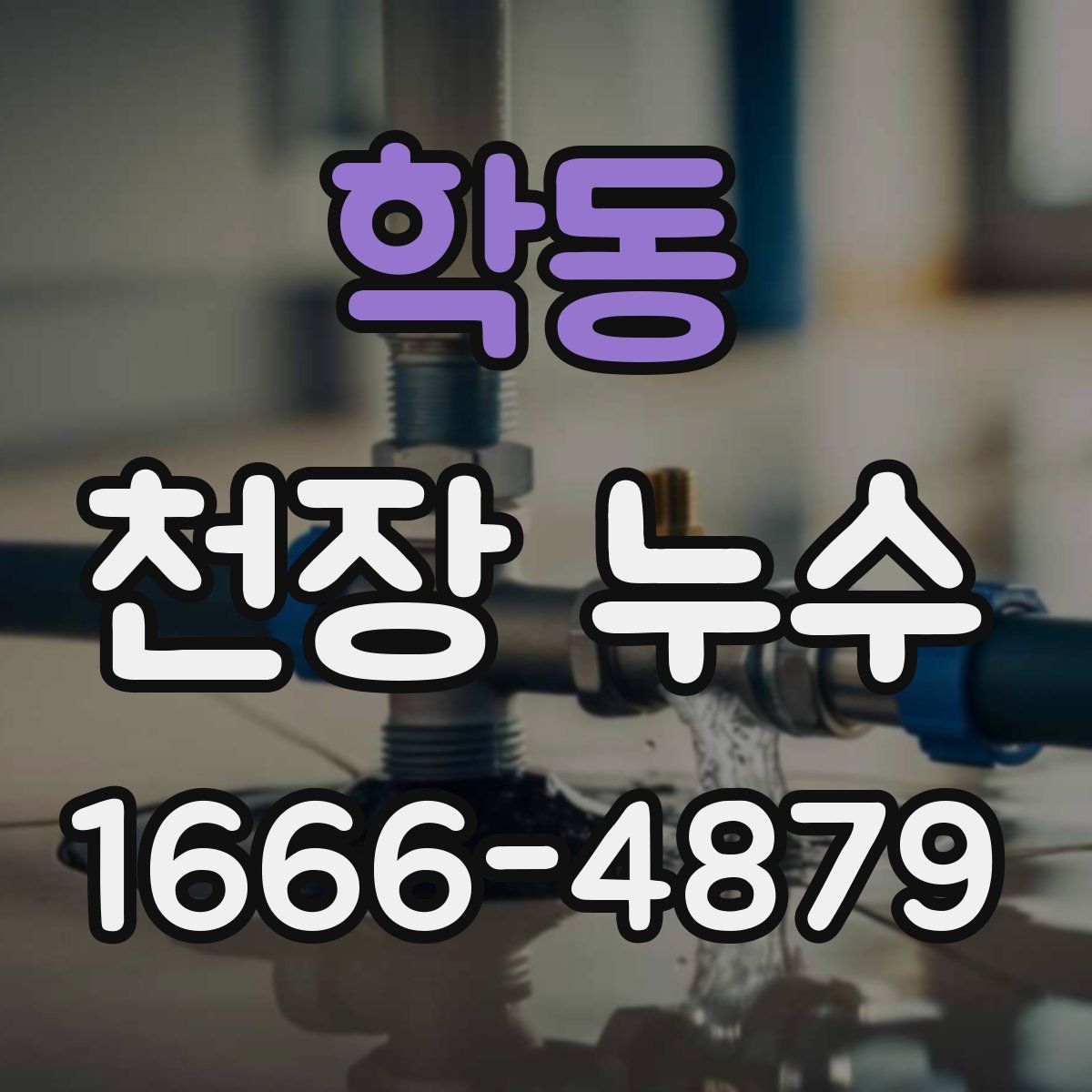 학동 천장 누수