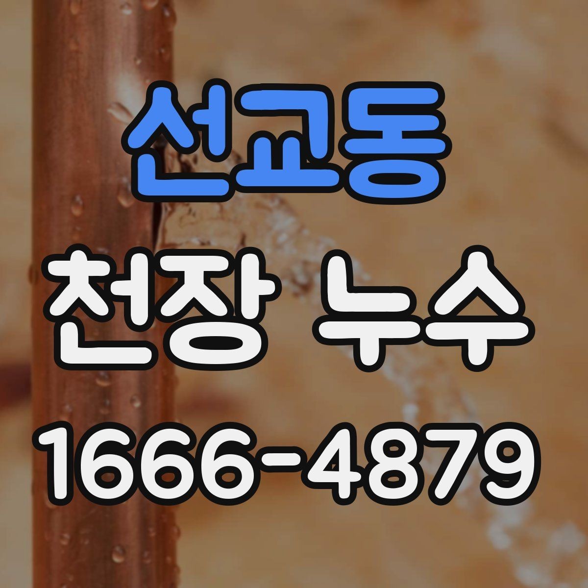 선교동 천장 누수 한 번 멈췄다가 다시 생기면 재점검 필요