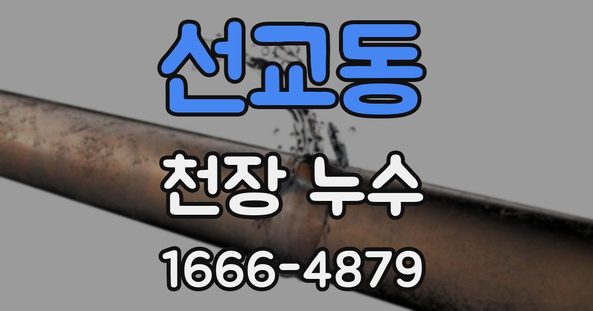 선교동 천장 누수