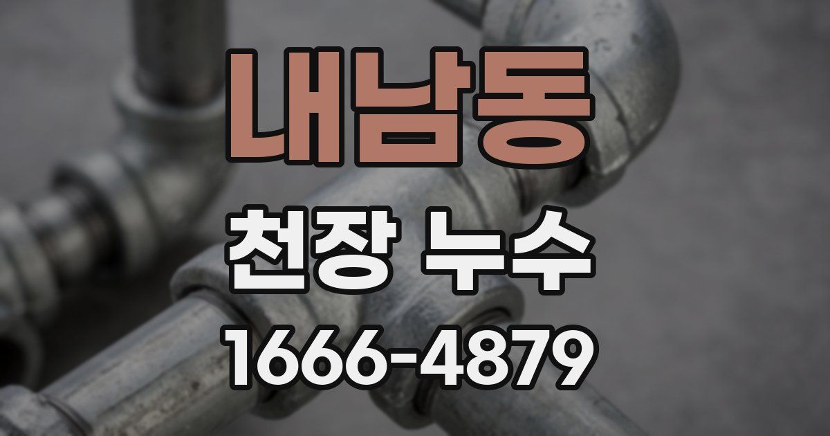 내남동 천장 누수