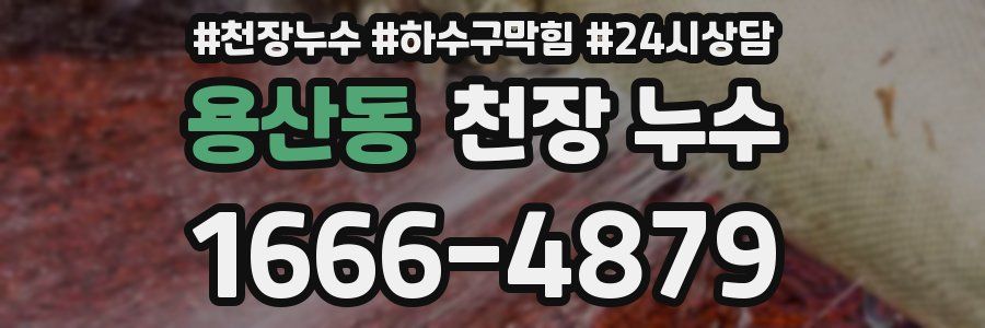 용산동 천장 누수