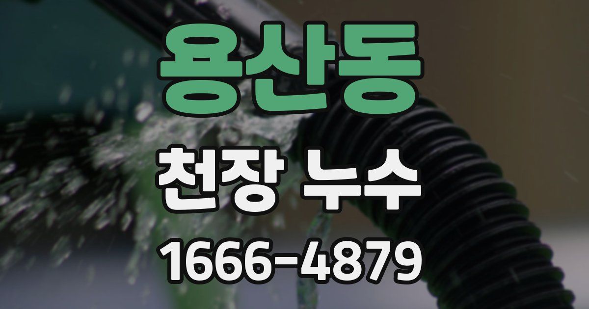 용산동 천장 누수