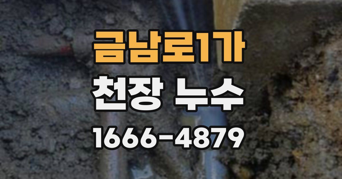 금남로1가 천장 누수