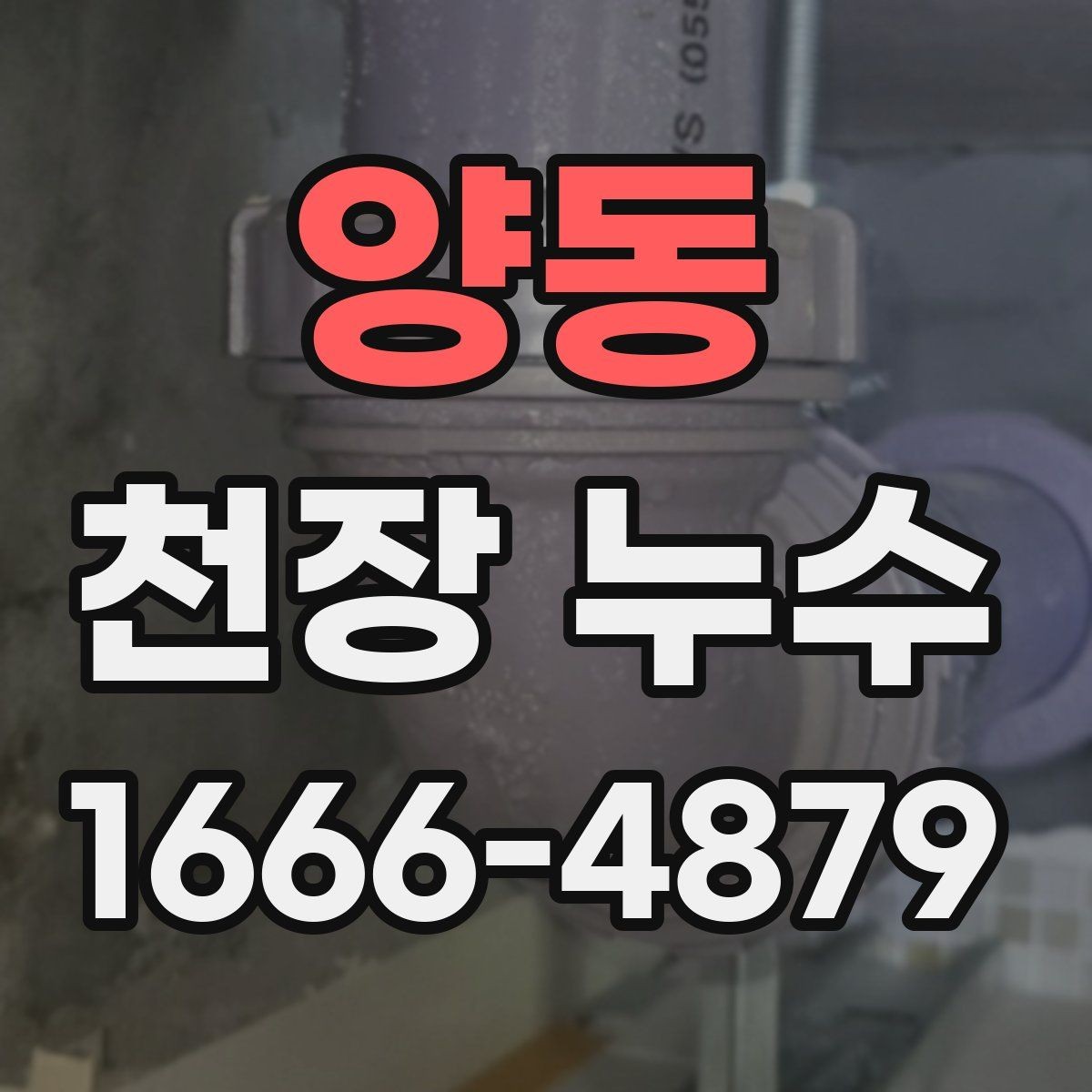 양동 천장 누수 천장 곰팡이가 갑자기 늘었다면 원인 확인