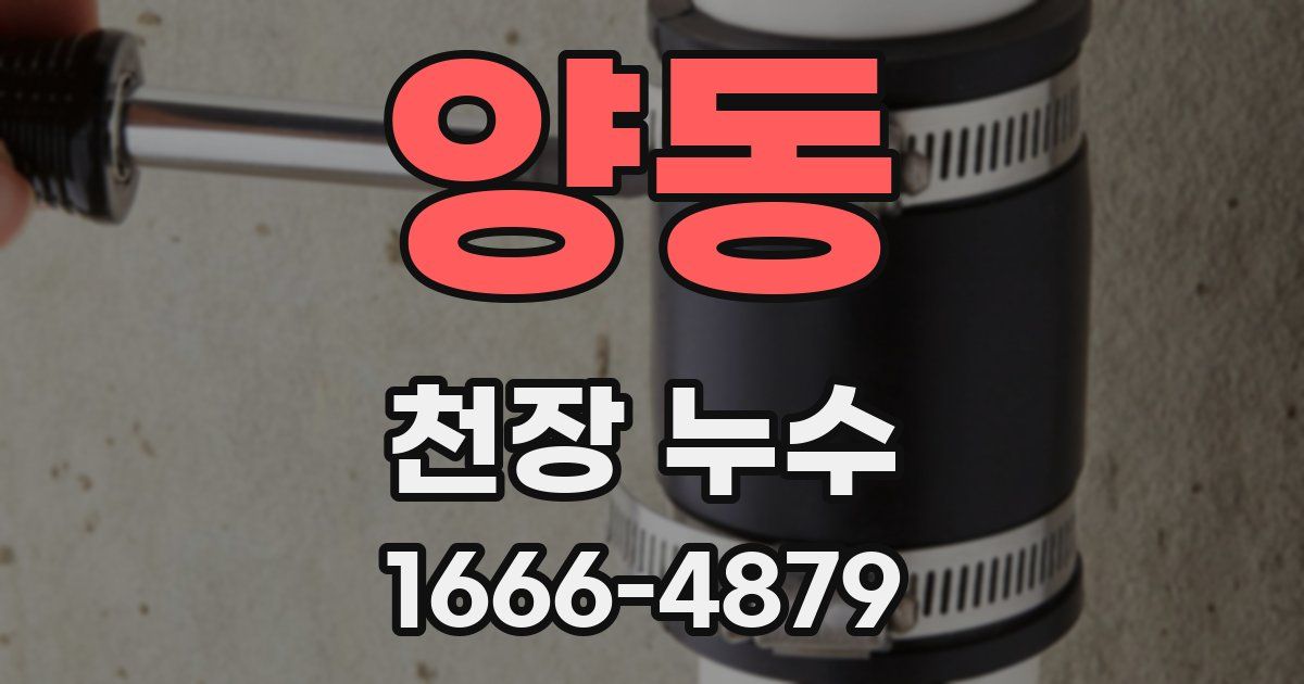 양동 천장 누수