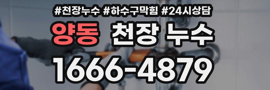 양동 천장 누수