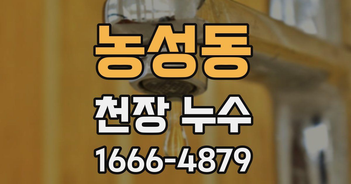 농성동 천장 누수