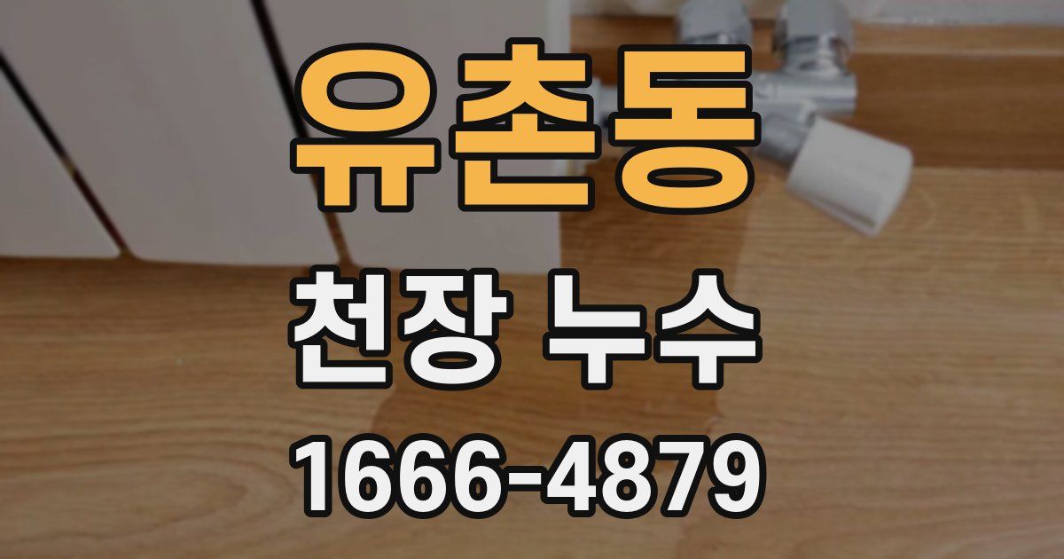 유촌동 천장 누수