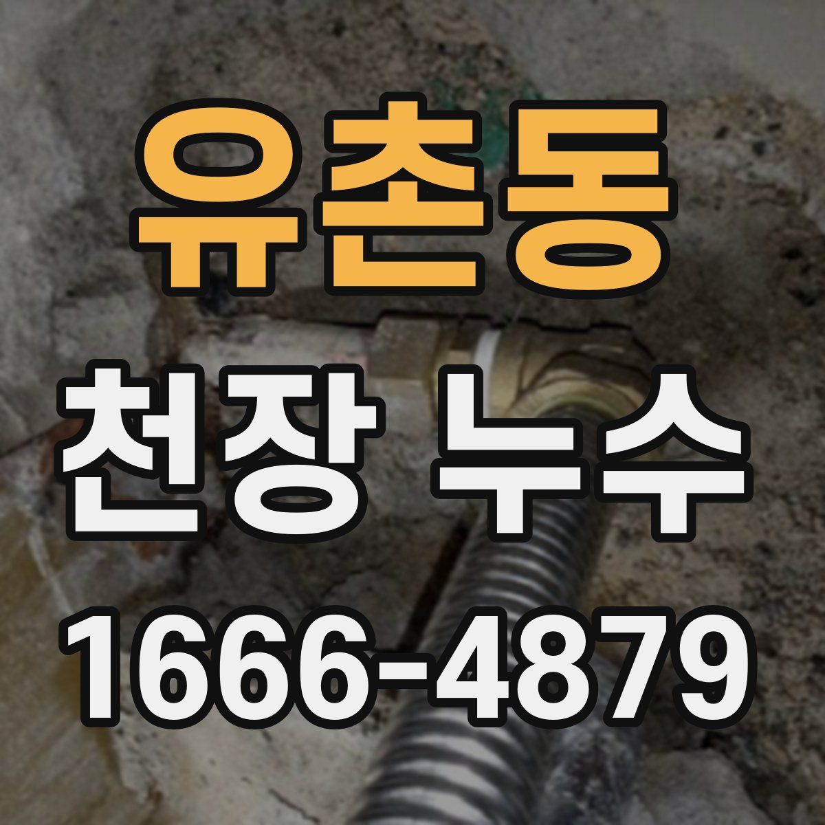 유촌동 천장 누수