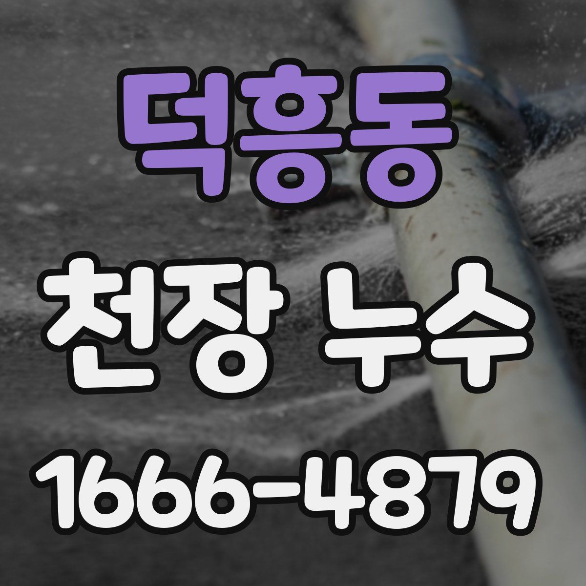 덕흥동 천장 누수