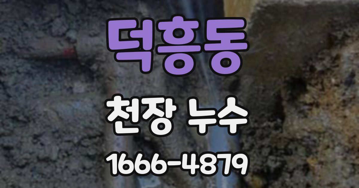 덕흥동 천장 누수