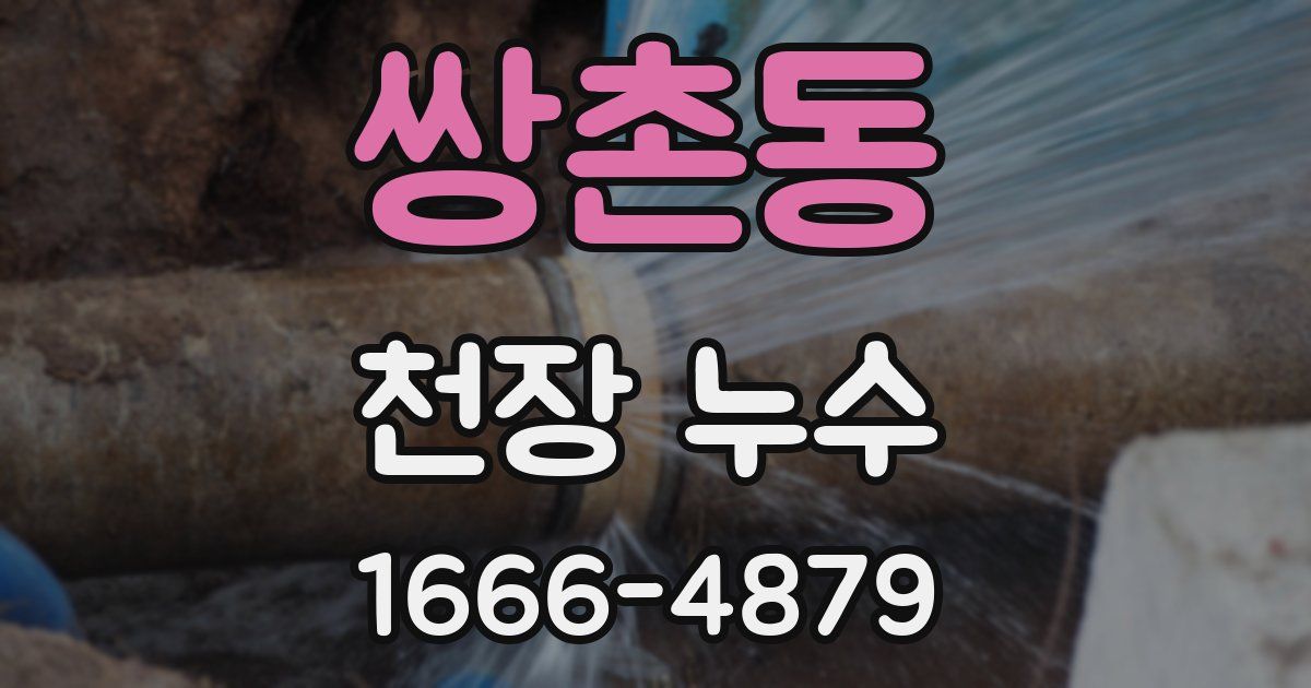 쌍촌동 천장 누수