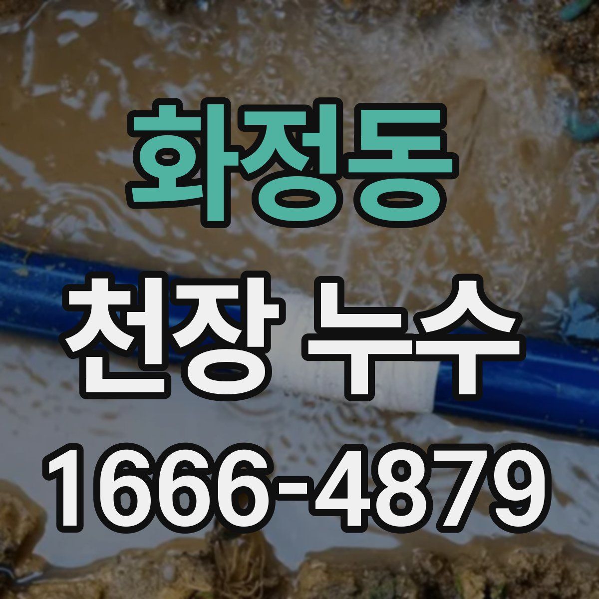 화정동 천장 누수