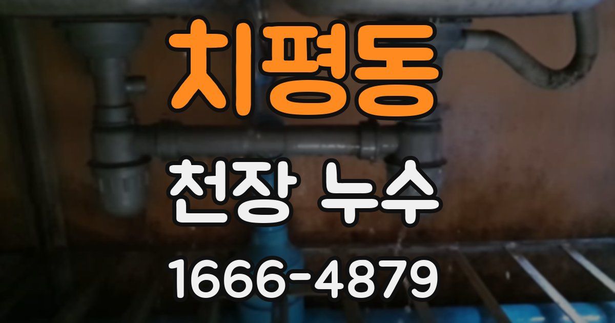 치평동 천장 누수