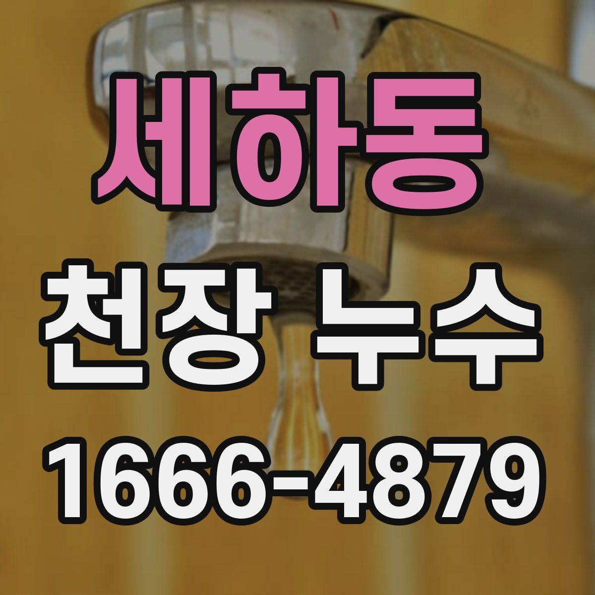 세하동 천장 누수