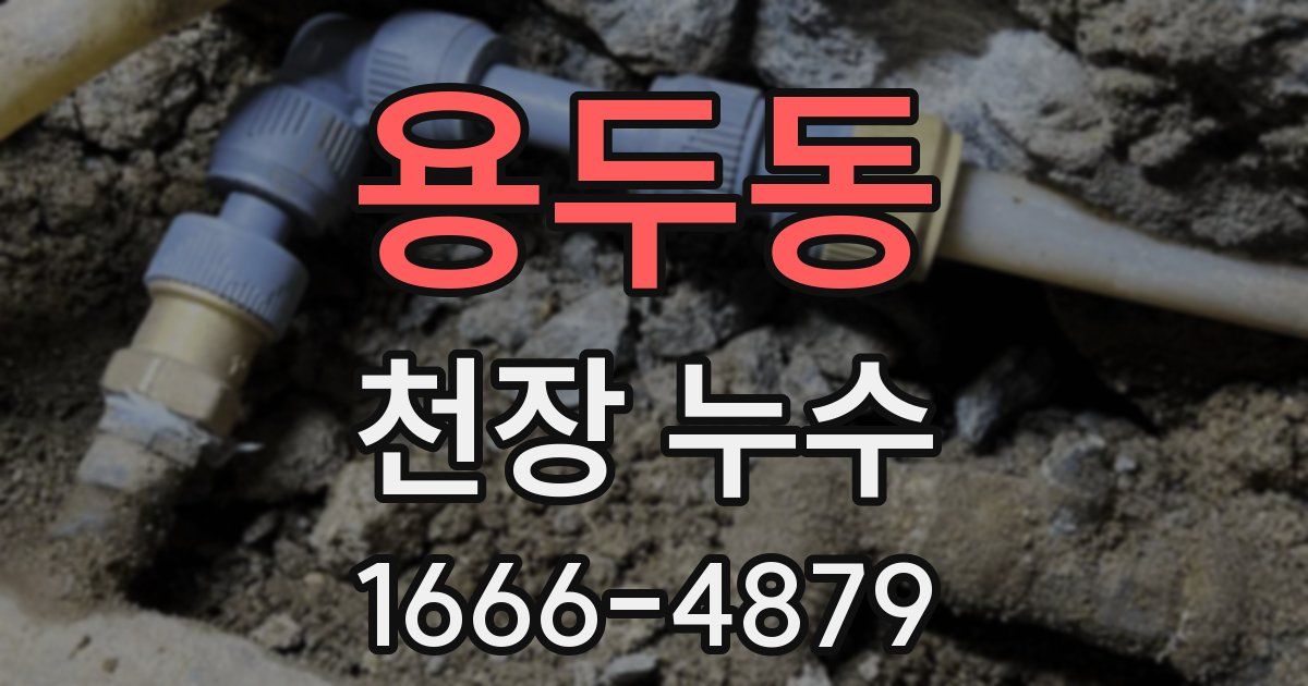 용두동 천장 누수