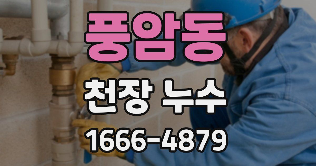 풍암동 천장 누수