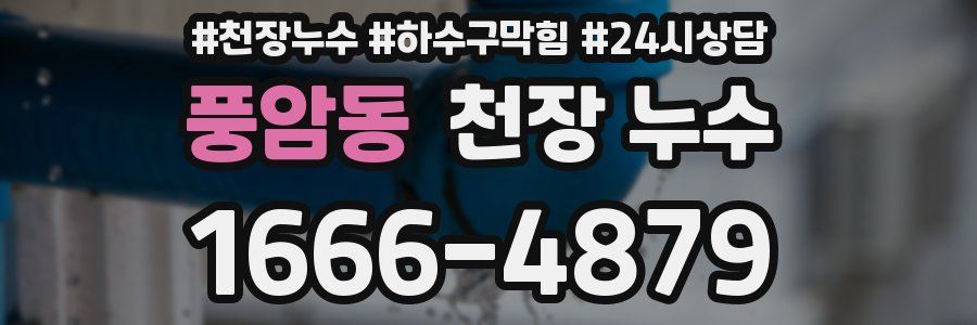 풍암동 천장 누수