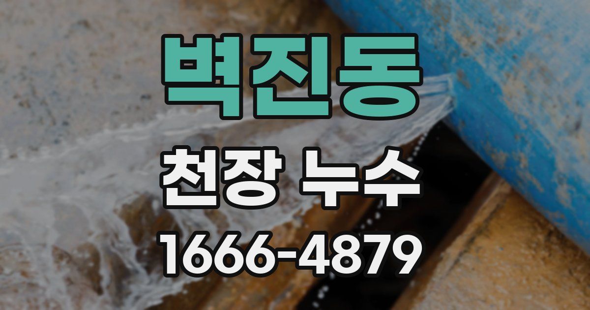 벽진동 천장 누수