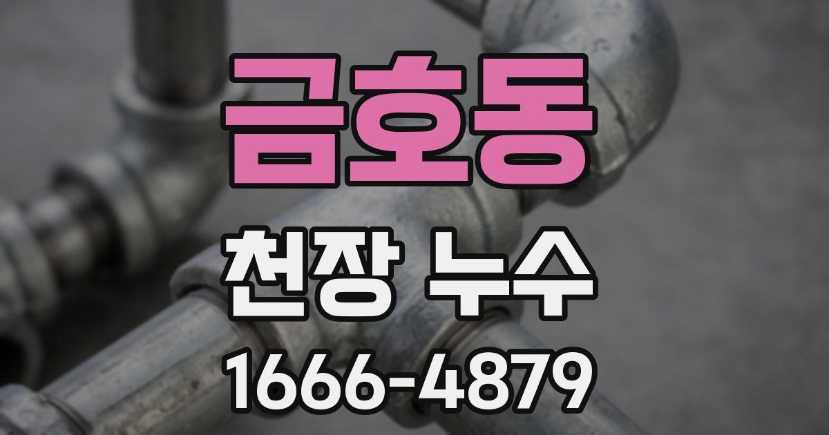 금호동 천장 누수