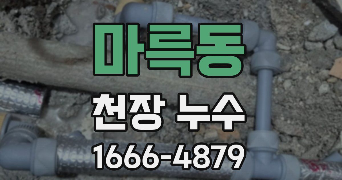 마륵동 천장 누수