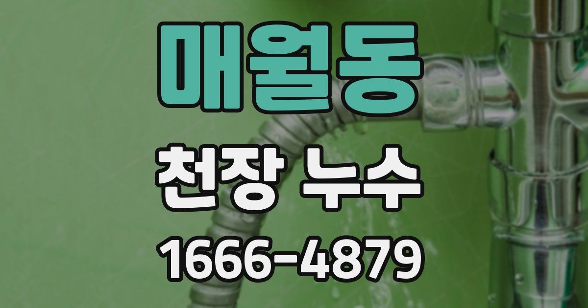 매월동 천장 누수