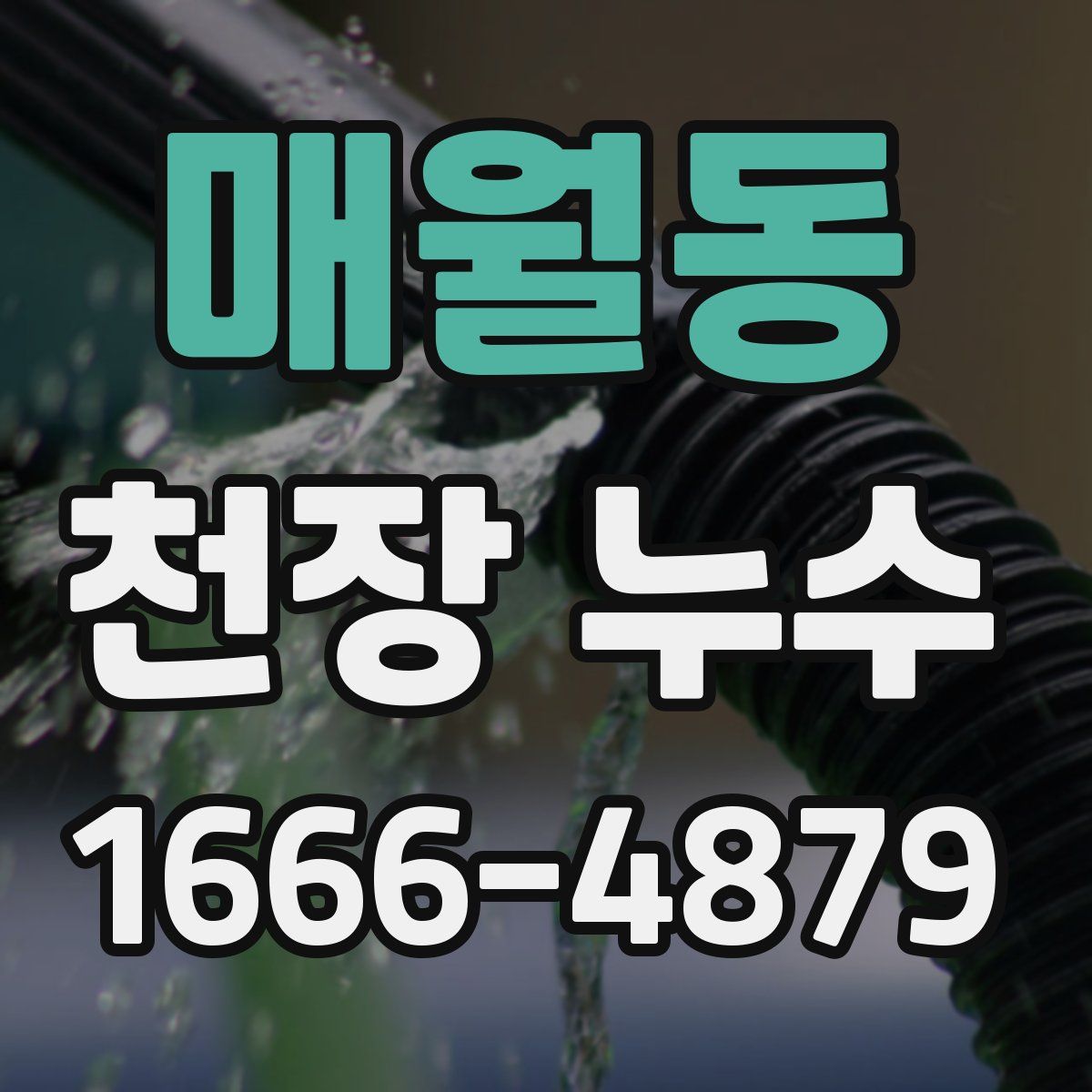 매월동 천장 누수