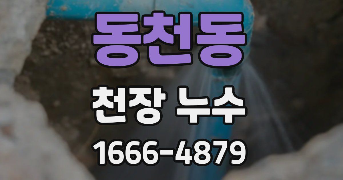 동천동 천장 누수