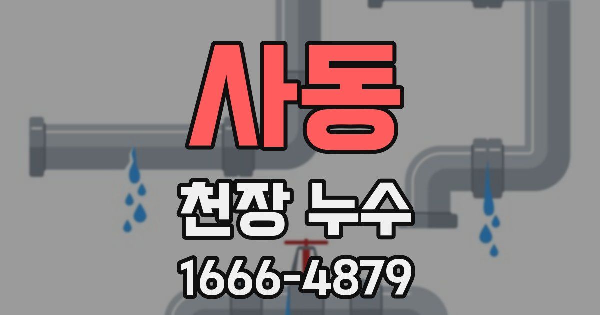 사동 천장 누수