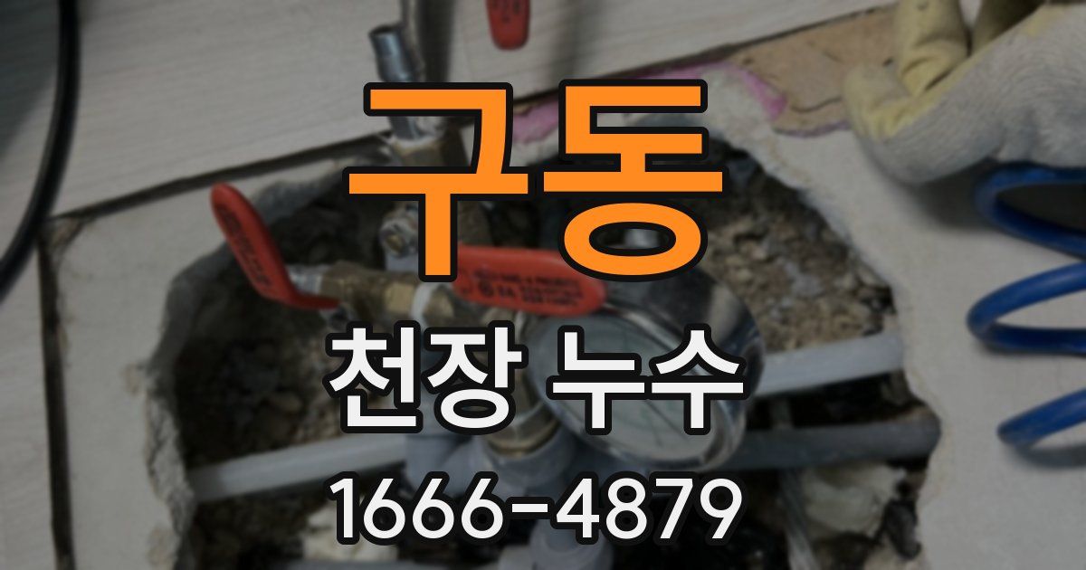 구동 천장 누수