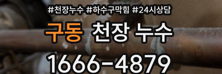 구동 천장 누수