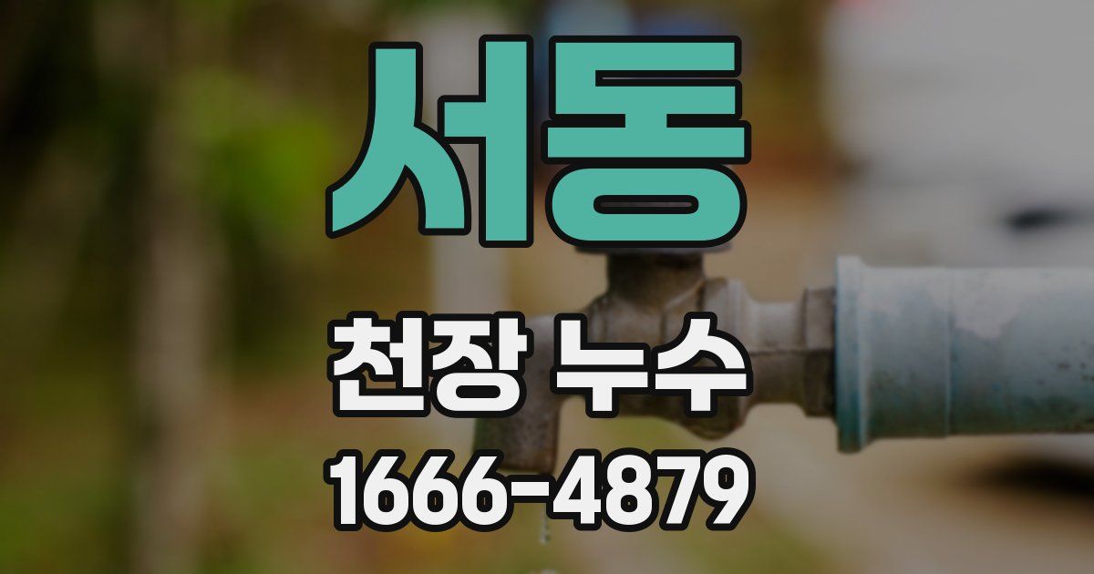 서동 천장 누수