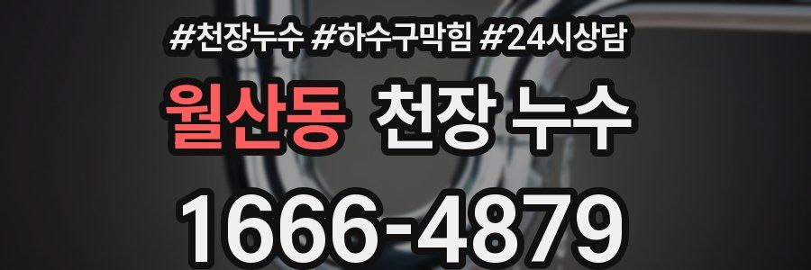 월산동 천장 누수