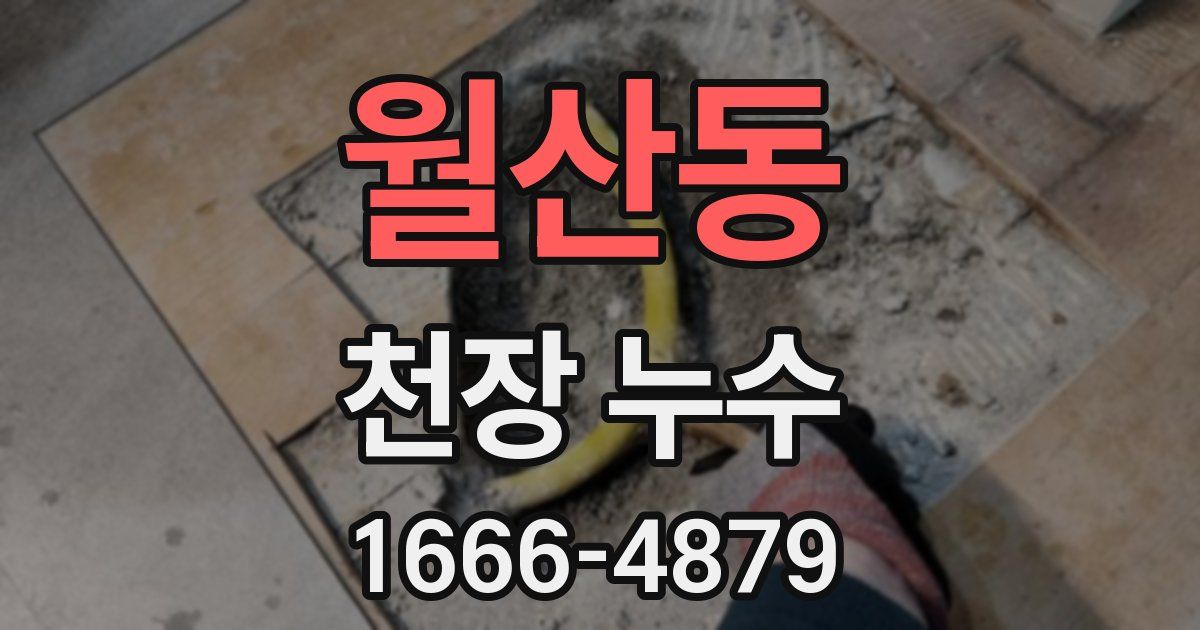 월산동 천장 누수