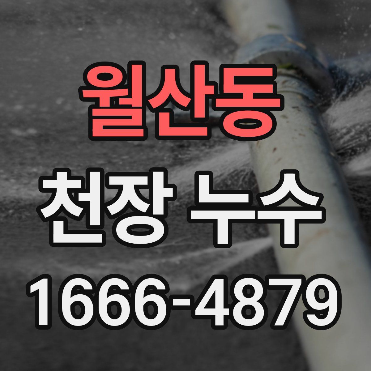 월산동 천장 누수