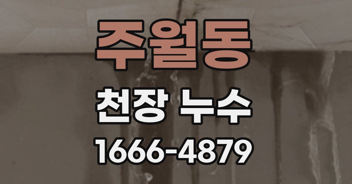 주월동 천장 누수