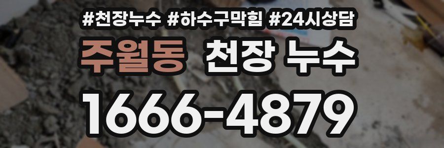 주월동 천장 누수