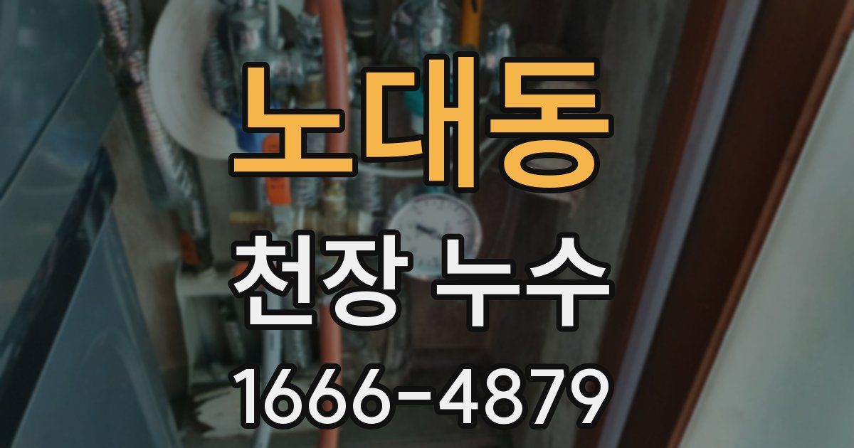 노대동 천장 누수