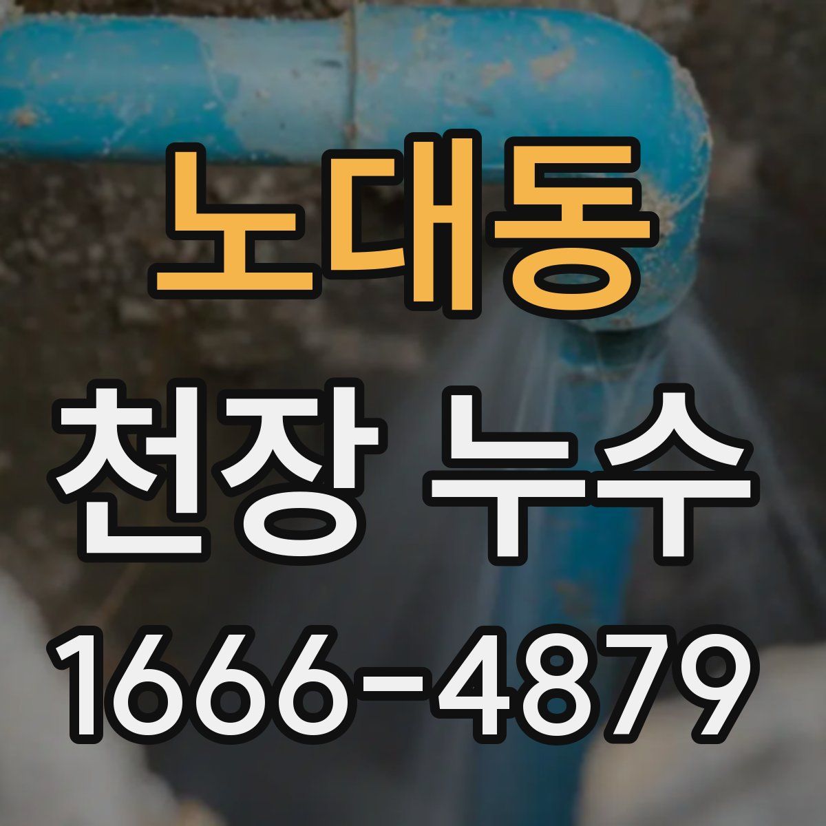 노대동 천장 누수