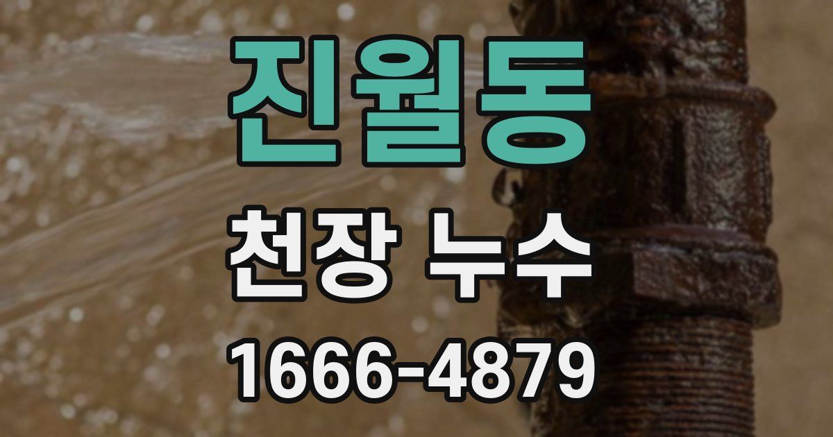진월동 천장 누수