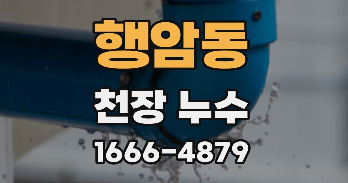 행암동 천장 누수