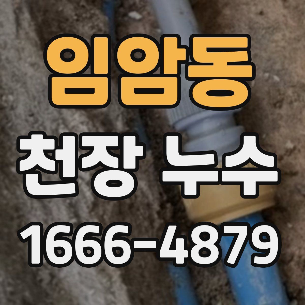 임암동 천장 누수 페인트로 가리면 나중에 더 커지는 이유