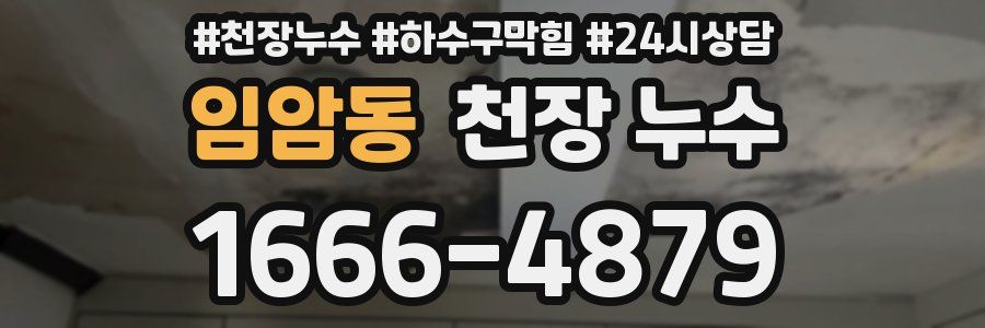 임암동 천장 누수