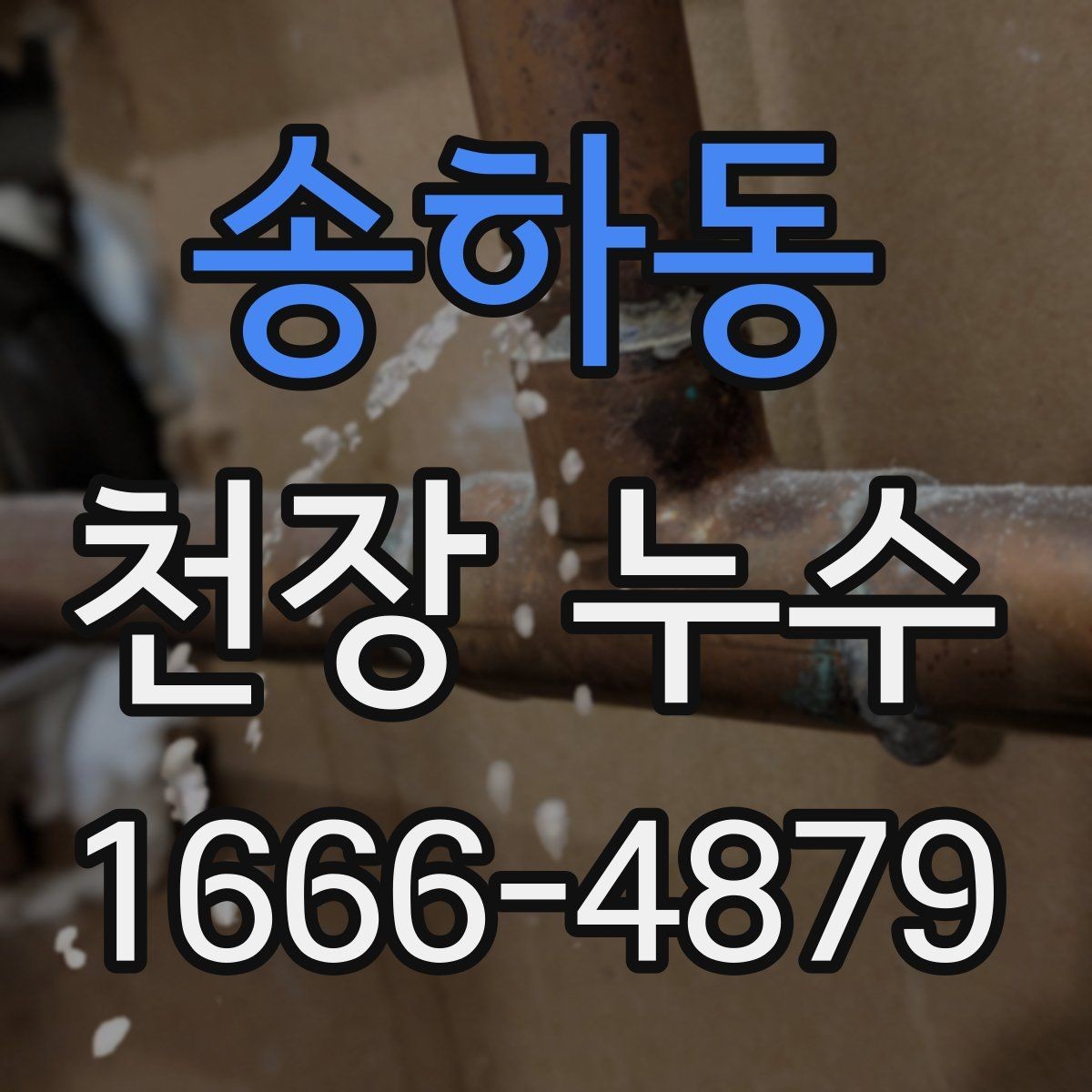 송하동 천장 누수 벽까지 번지기 전 조치