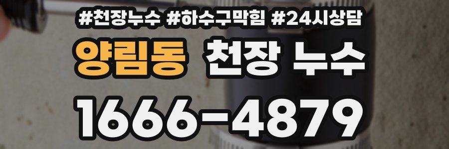 양림동 천장 누수