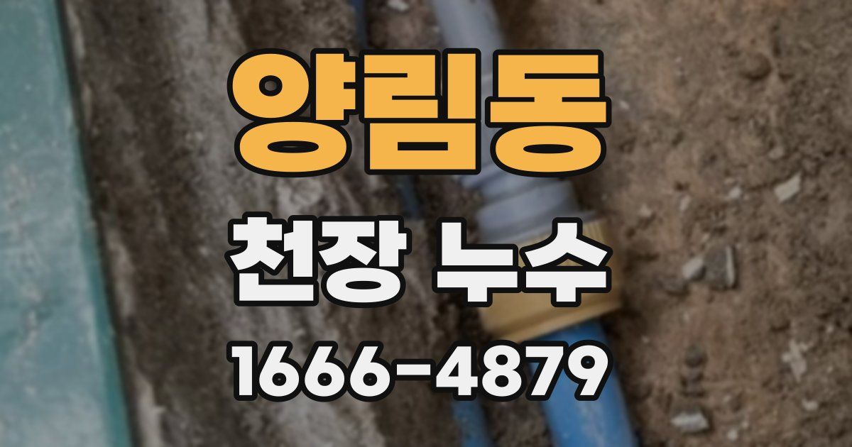 양림동 천장 누수