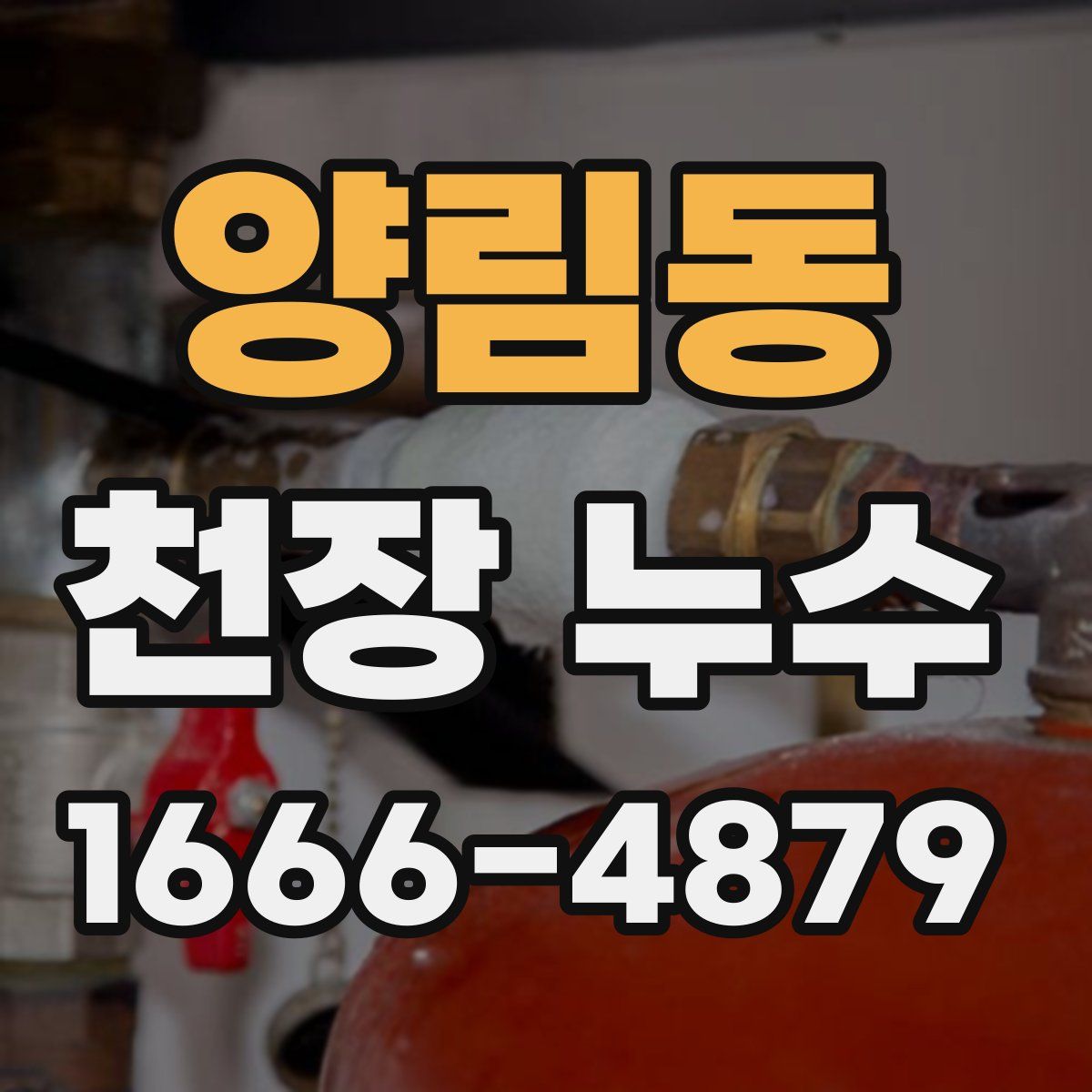 양림동 천장 누수