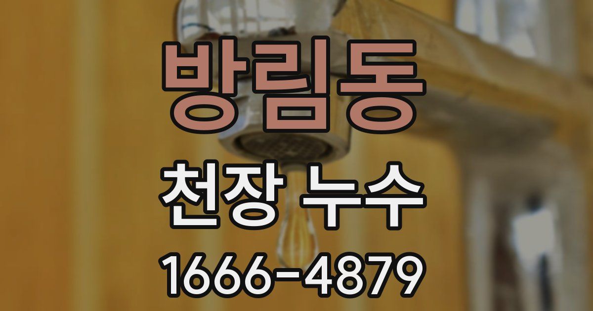 방림동 천장 누수