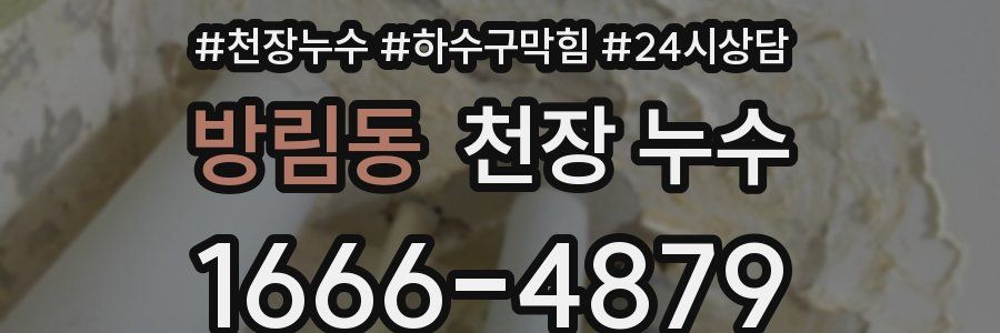 방림동 천장 누수