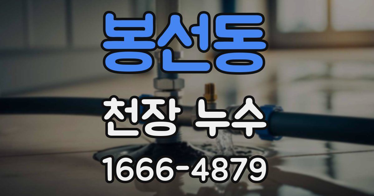 봉선동 천장 누수